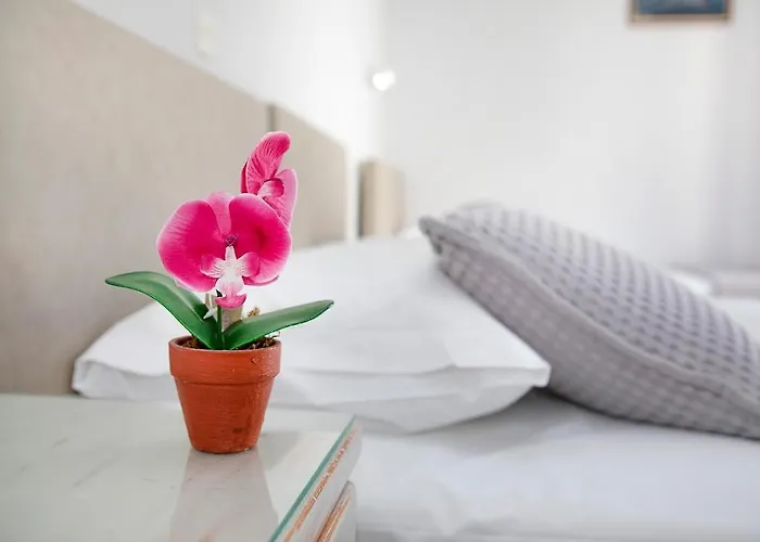 Vicky's Hotel Parikia (Paros)